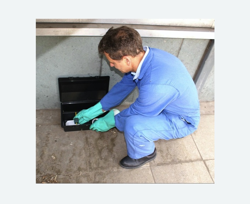 Дератизация помещения в Катайске Дератизация помещения