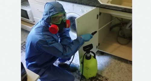 Уничтожение муравьев в квартире. Катайск