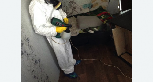 Обработка квартир от насекомых в Катайске