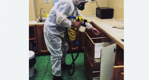 Дезинсекция квартиры. Катайск
