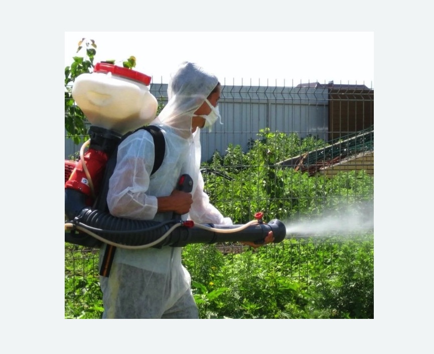 Акарицидная обработка территории в Катайске