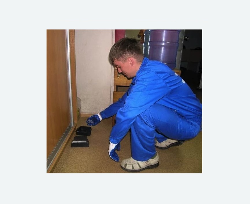 Дератизация крыс в Катайске