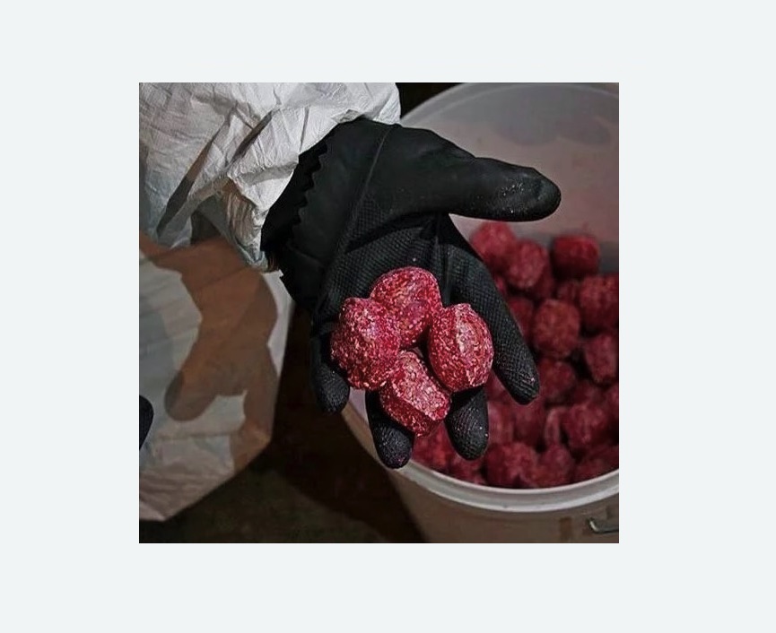 Обработка от крыс в Катайске