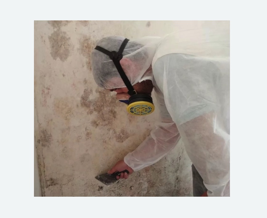 Обработка стен от плесени в Катайске