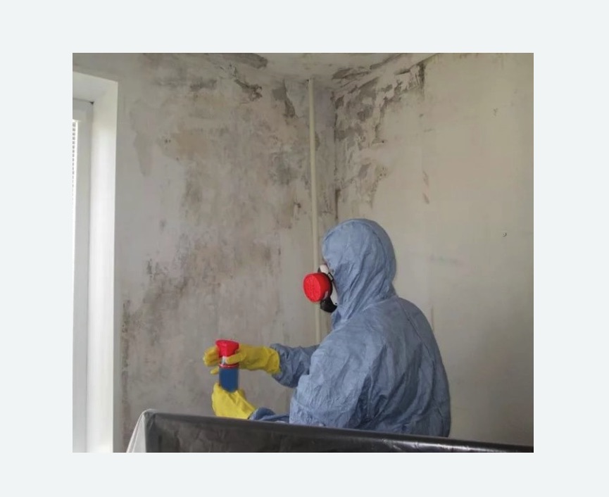 Удаление плесени в квартире в Катайске