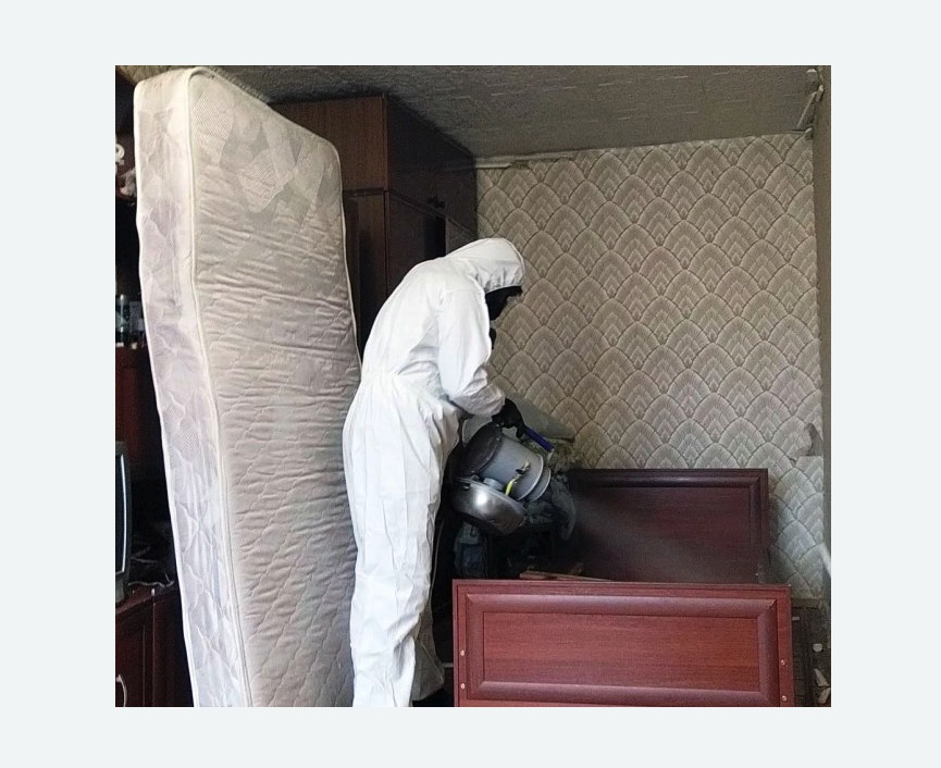 дезинфекция от клопов в Катайске