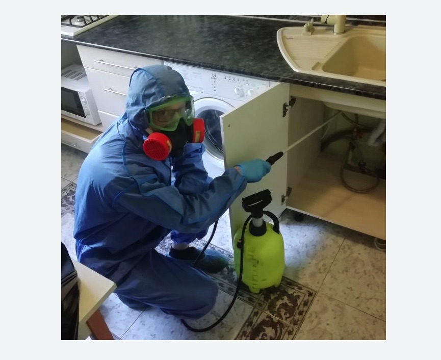 обработка от муравьев в квартире в Катайске