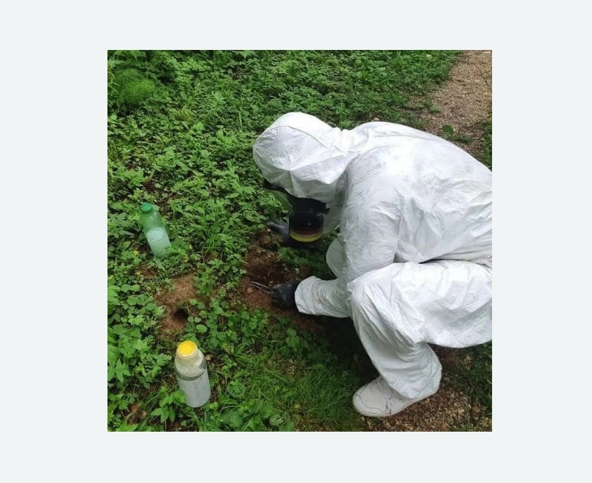 уничтожение кротов на участке в Катайске