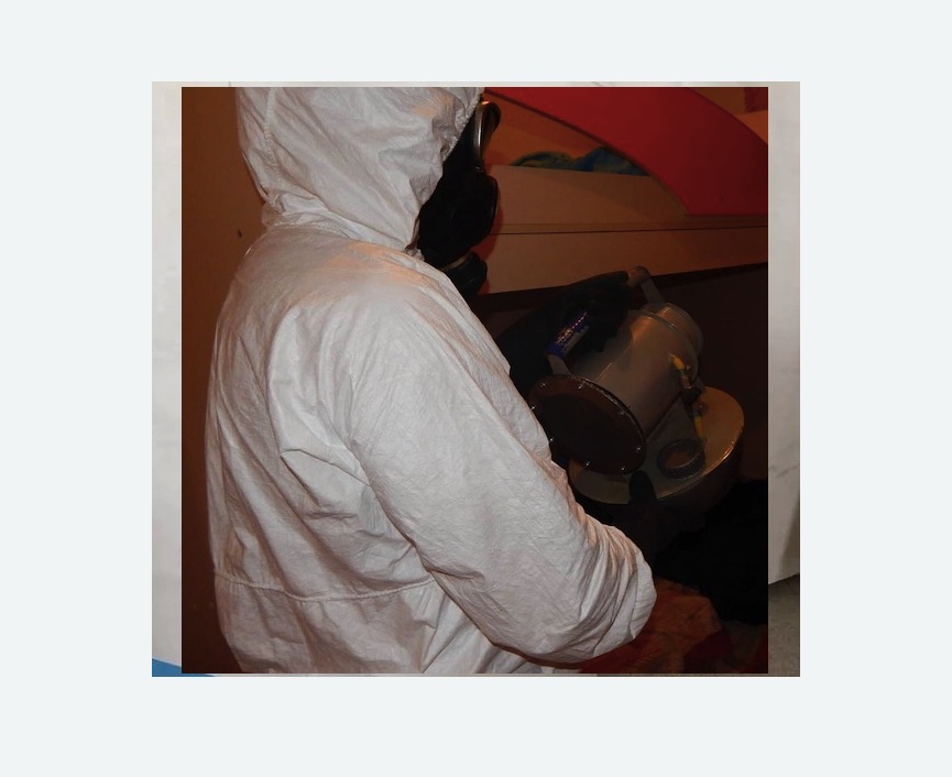 Дезинфекция от муравьев в Катайске