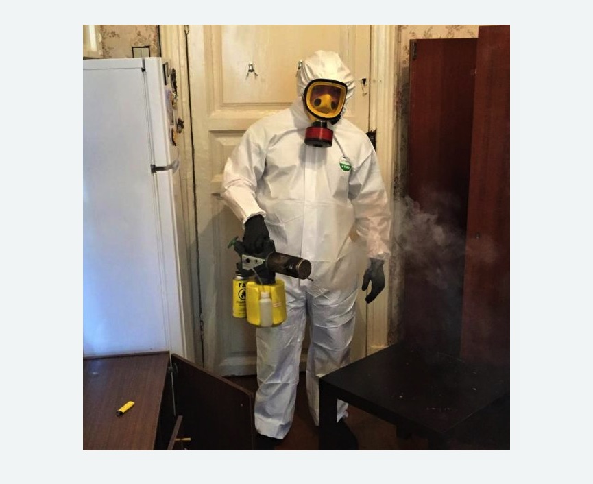 уничтожение муравьев в квартире в Катайске